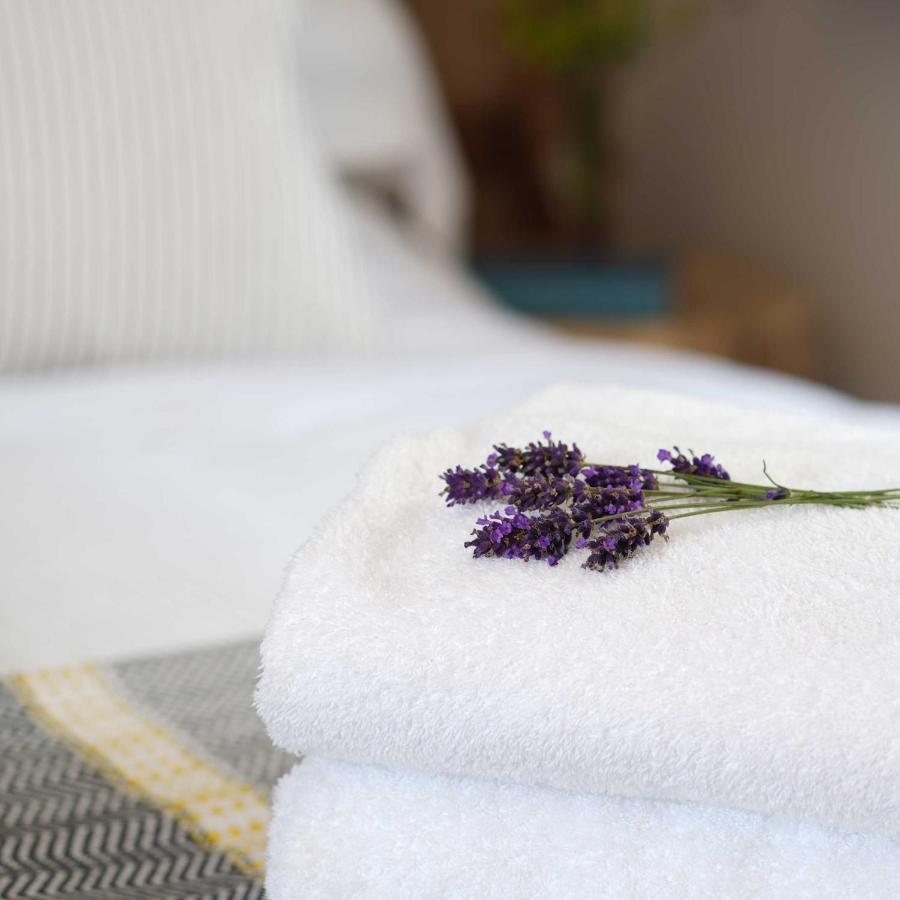 Bed and Breakfast Bird & Carter Fonthill Fonthill Bishop Экстерьер фото